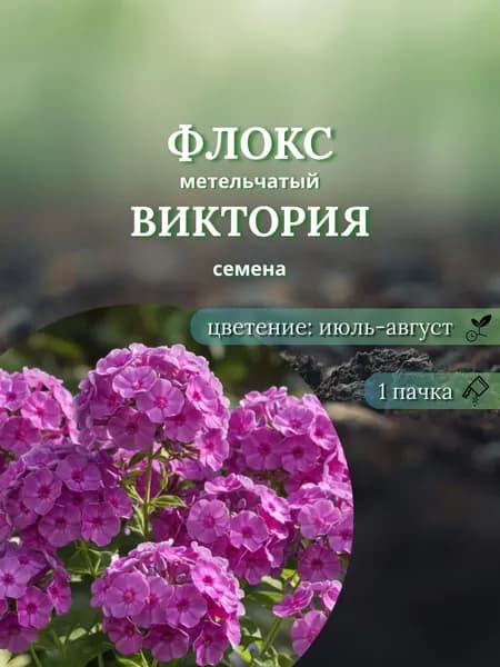 Флокс метельчатый Виктория, семена, 10 шт.