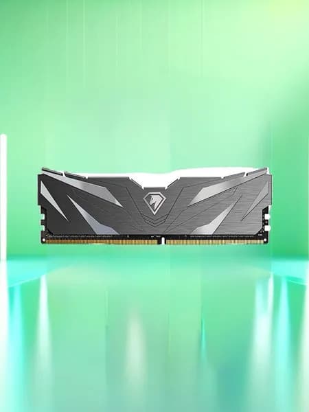 Netac Оперативная память Shadow NTSWD4P26SP-08K DDR4, 2666 МГц, 1 x 8 ГБ (NTSWD4P26SP-08K)