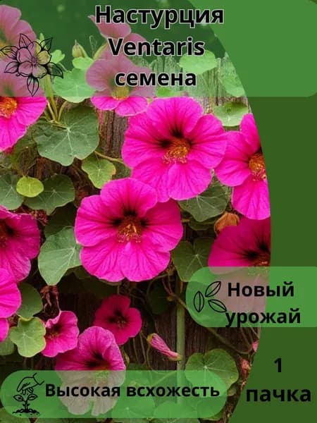 Настурция Ventaris, семена 10шт