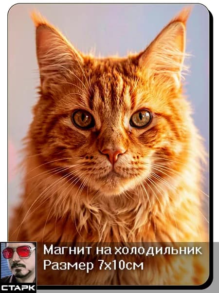Магнит на холодильник, Мейн-кун