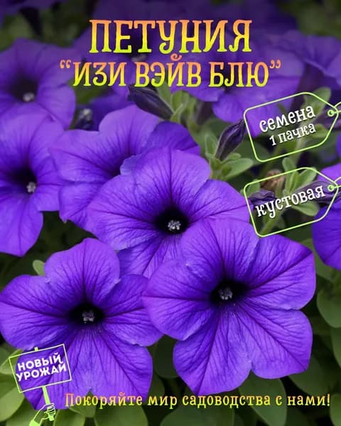 Петуния Изи Вэйв Блю, семена, 10 шт.