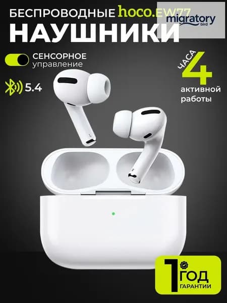 Наушники беспроводные с микрофоном Hoco EW77, Bluetooth, USB Type-C, белый