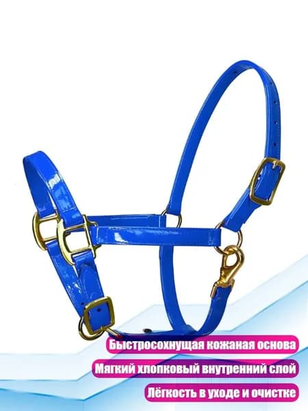Золотистая уздечка для верховой езды, Синий - L