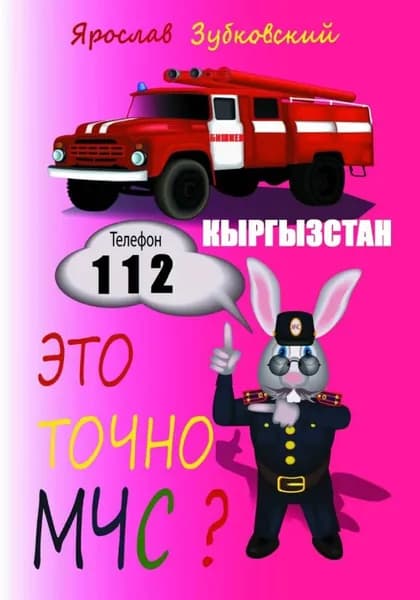 Это точно МЧС? Кыргызстан | Зубковский Ярослав Николаевич | Электронная книга