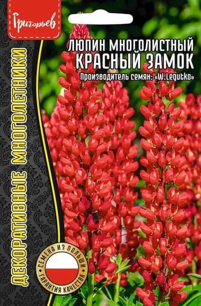 Люпин многолистный Красный Замок (Red Castle), огненный величественный многолетник, 15 шт.