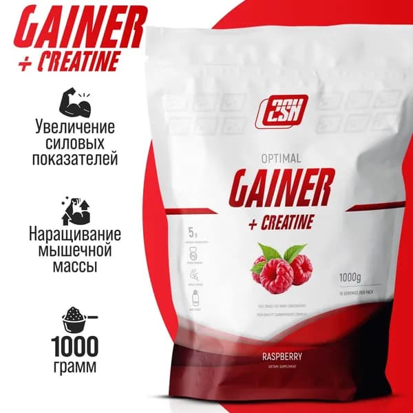 Гейнер для набора массы с добавлением креатина 2SN Gainer + Creatine высококалорийный коктейль 1000 г (Малина)