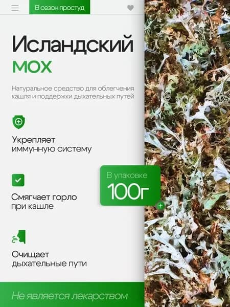 Исландский мох от кашля сухой сбор 100 грамм