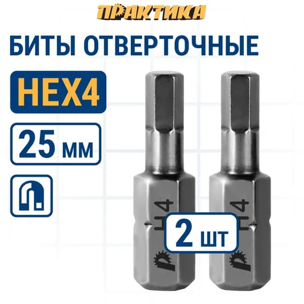 Биты для шуруповертов / бита отверточная ПРАКТИКА "Профи" HEX 4 х 25мм (2шт)