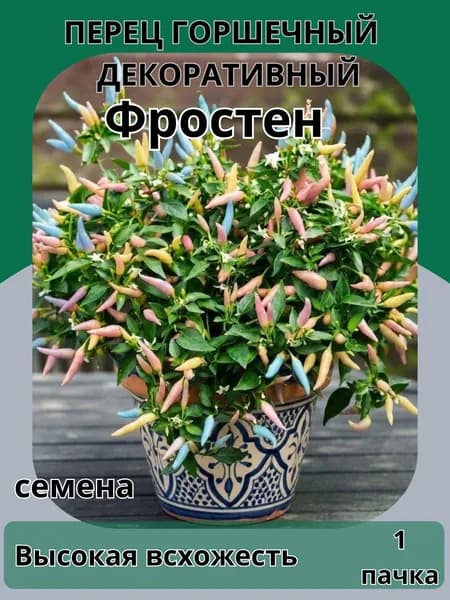 Перец декоративный Фростен, семена 10шт
