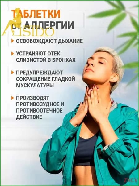 Премиальное антигистаминное средство от зуда при крапивнице и дерматите, для терапии сезонной аллергии с ринитом, 100 таблеток, популярный бестселлер. Солнце