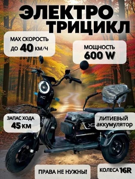 Трёхколёсный электроскутер для взрослых, 600W, запас хода до 55 км/ч