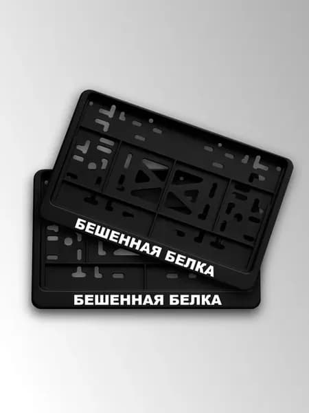 Квадратная рамка для номера бешенная белка