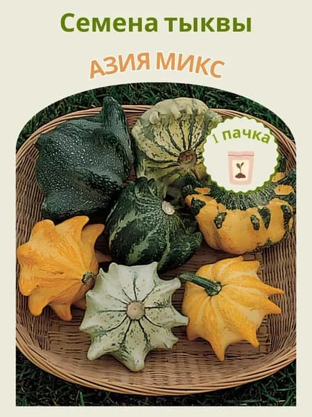 Тыква декоративная Азия микс, 10 шт. семян