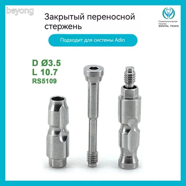 Adin Слепочный_трансфер