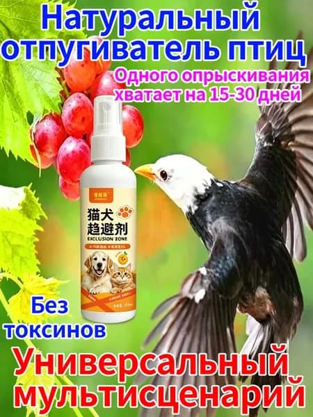 Эффективное отпугивание птиц, голуби