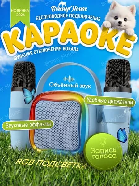 Детская караоке система с двумя беспроводными микрофонами и колонкой