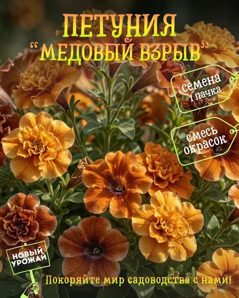Петуния Медовый взрыв (смесь), семена, 10 шт.