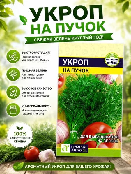 Семена Укроп "На Пучок" /Семена Алтая
