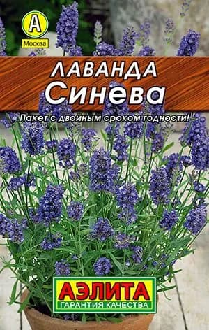 Лаванда Синева, 0,1 г семян. Многолетняя. Ароматная.