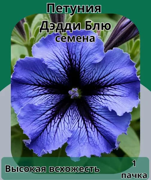 Петуния Дэдди Блю, семена 1пачка