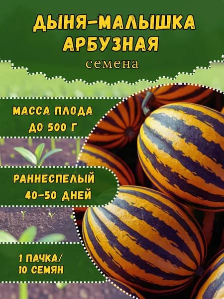 Семена "Дыня-малышка Арбузная", 10 семян