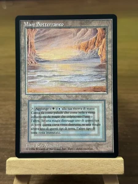 Заголовок: Волшебство в твоих руках: Уникальная карта Magic: The Gathering (MTG) с защитным протектором в подарок!