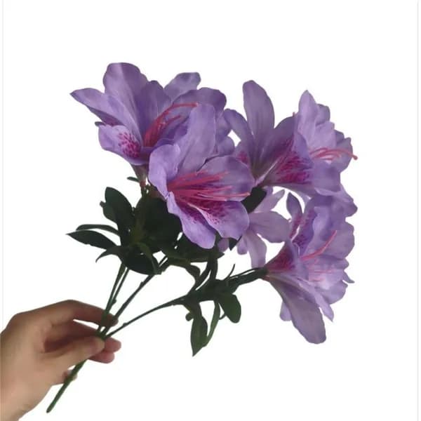 Политическая карта 70 x 100 см, масштаб: 1:120 000 000