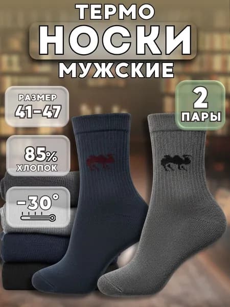 Носки мужские RT3CV494FX, 2 пары