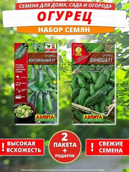 Семена огурец для дома сада посадки
