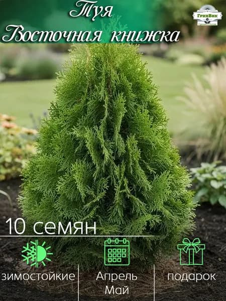 Семена ,10шт