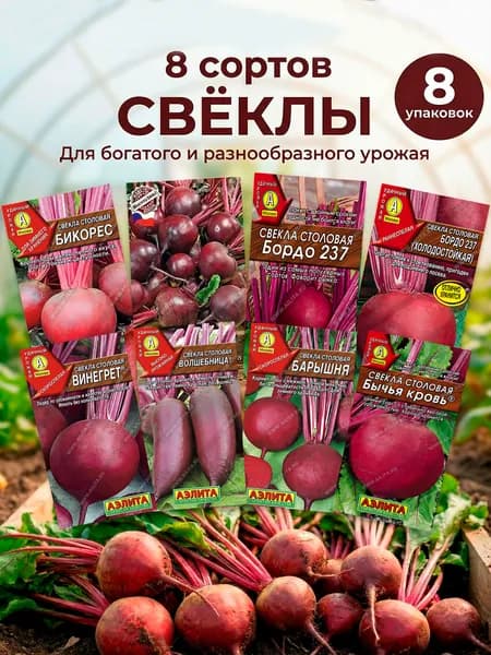Свекла семена овощей для посадки