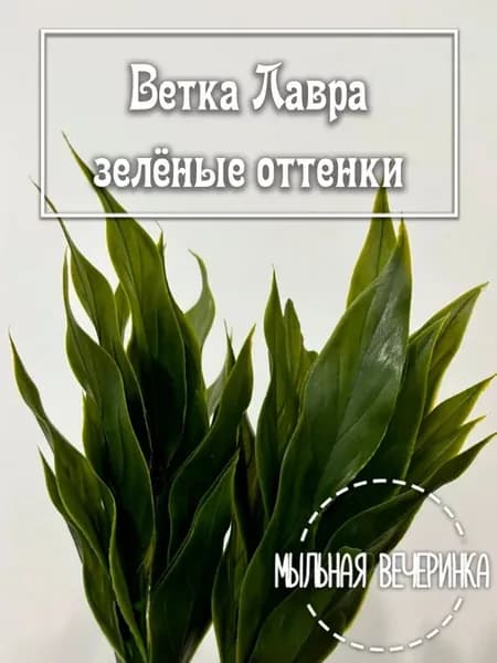 Искусственная зелень, "Ветка Лавра" зелёные оттенки