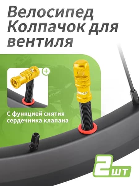 Велошина