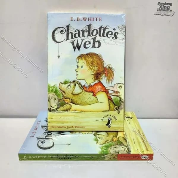 Книга на английском языке