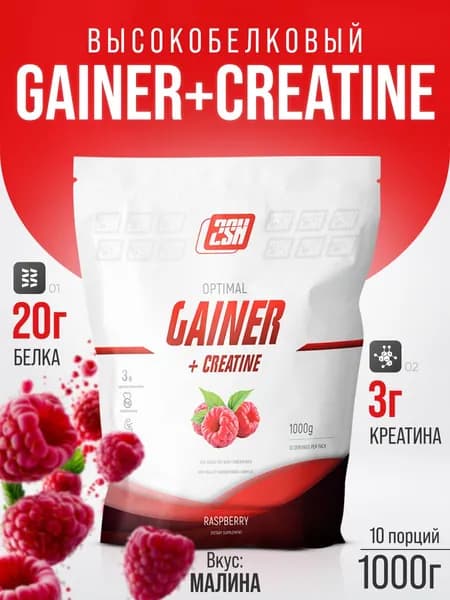 Гейнер для набора массы с добавлением креатина 2SN Gainer + Creatine высококалорийный коктейль 1000 г (Малина)