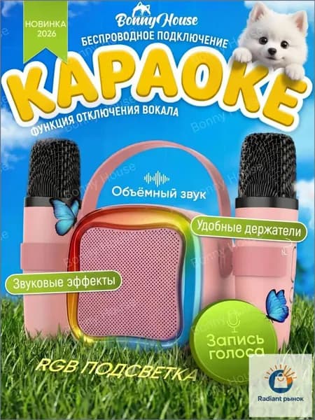 Детский караокекомплект премиум с двумя беспроводными микрофонами