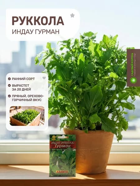 Руккола семена "Индау Гурман", семена зелени для подоконника и сада Агрофирма Аэлита