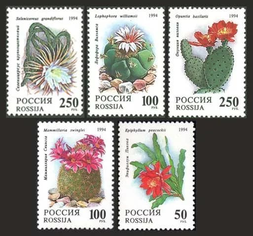 Россия-1994. Кактусы. комнатные растения. Серия из 5 марок. Негашеная