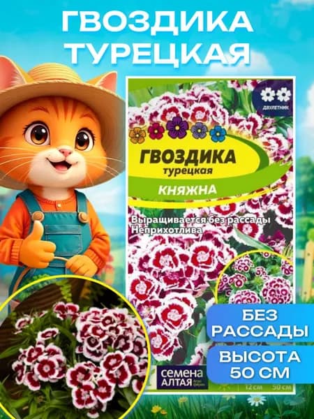 Семена цветов Гвоздика "Княжна турецкая" 0,1 гр. Семена Алтая