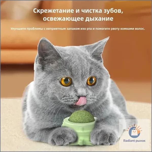 Игрушки для кошек, кошачья мята, леденец для кошек, шарик на стену