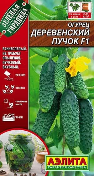 Семена Огурец Деревенский Пучок F1 (10 семян) - Аэлита. Самоопыляемый, партенокарпический, пучковый, для теплиц и открытого грунта