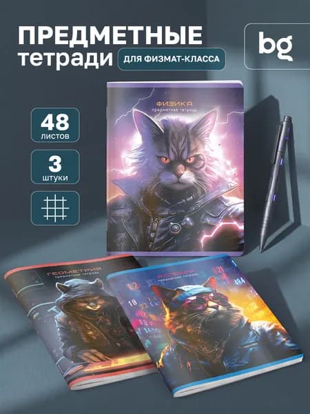 Предметные тетради со справочным материалом 48 листов 3 шт