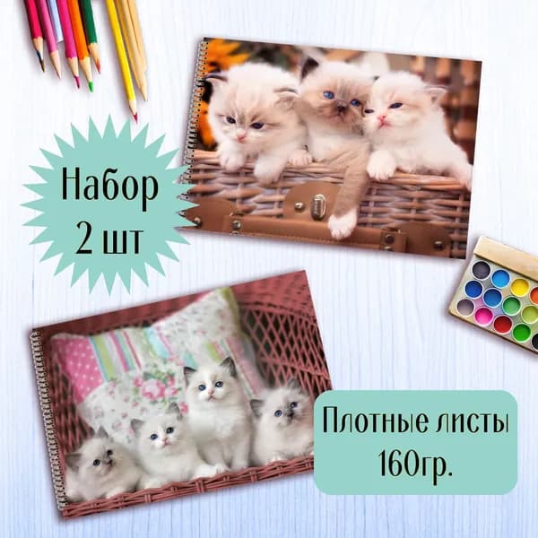 Альбомы для рисования Котики