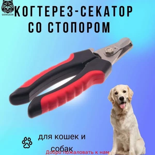 Когтерез