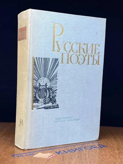 Русские поэты. Том 2