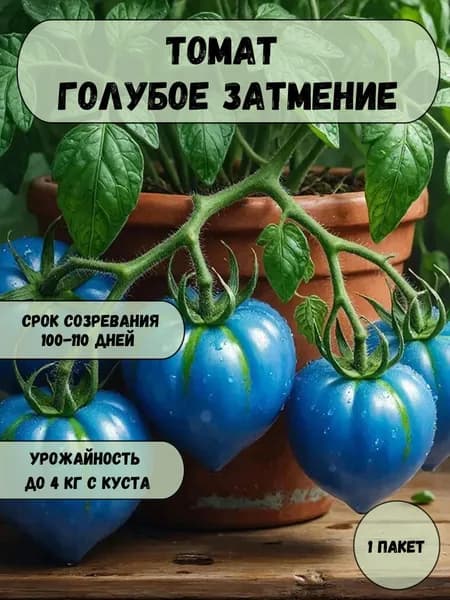 Томат Голубое затмение, семена 10 шт