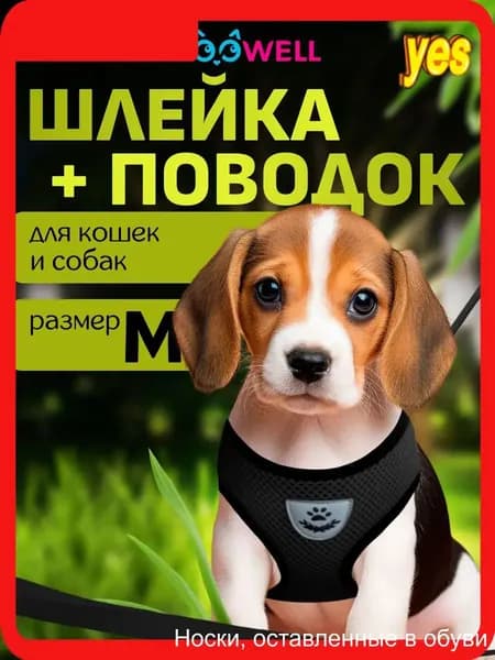 Шлейка и поводок для кошек, маленьких пород собак и хорьков ZOOWELL, набор для прогулок, черный размер M