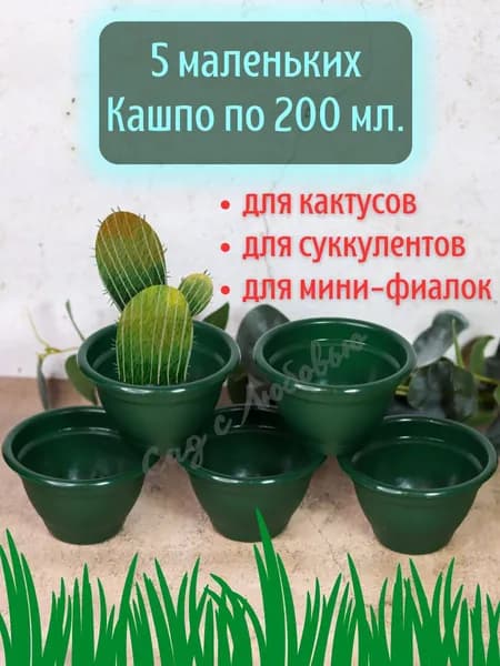 Маленькие кашпо для суккулентов, кактусов и фиалок 5 шт. по 200 мл.