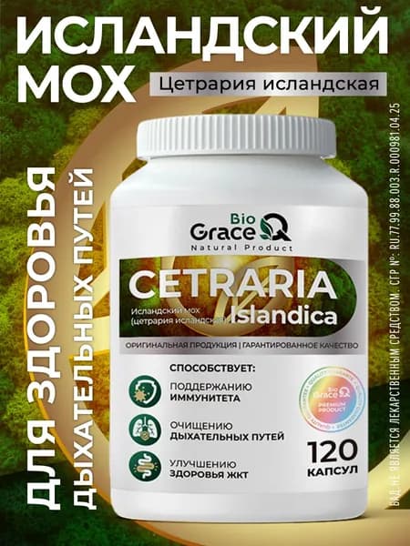 Исландский мох цетрария