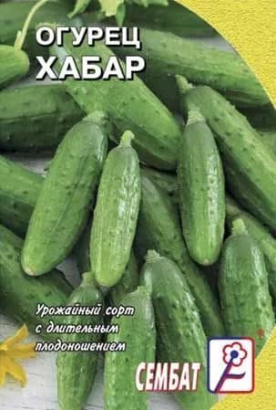 Огурец Хабар 0,5г Сембат Семена стандарт